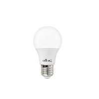 Bulb, E27, LED, Horoz, EKOLA, 9W, 1000lm, 2700K, (100)